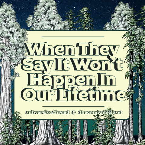 (PDF Zine Download) "When They Say It Won't Happen In Our Lifetime"